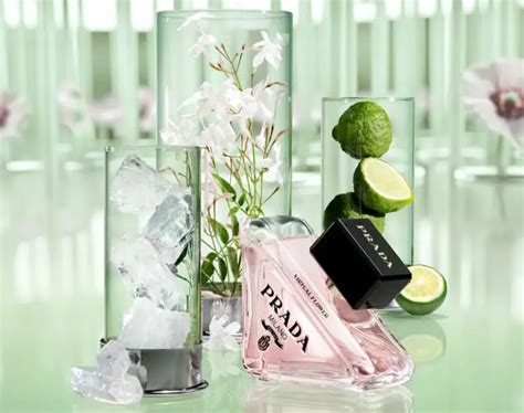 prada beauty paradox|prada paradoxe virtual flower.